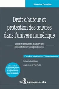 Droit d'auteur et protection des oeuvres dans l'univers numérique