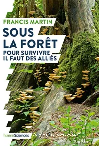 Sous la forêt