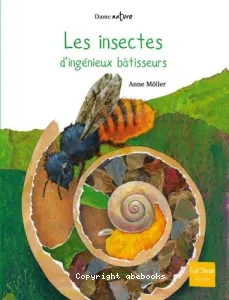 Insectes, d'ingénieux bâtisseurs (Les)