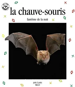 chauve-souris (La)