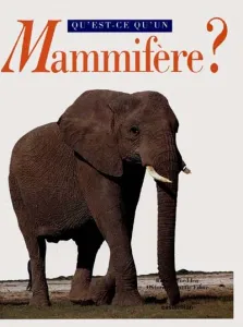 Qu'est-ce qu'un mammifère?