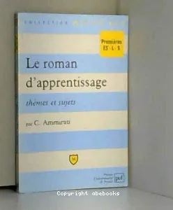 roman d'apprentissage, thèmes et sujets (Le)