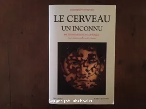 Cerveau (Le)