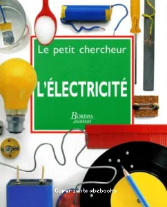 Electricité (L')