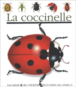 Cocccinelle (La)