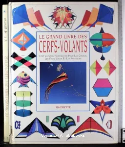 Grand livre des cerfs-volants (Le)