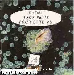 Trop petit pour être vu