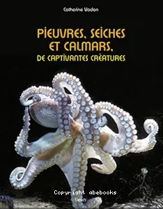 Pieuvres, seiches et calmars, de captivantes créatures