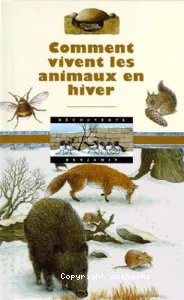 Comment vivent les animaux en hiver?