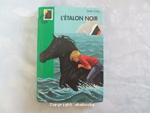 Etalon noir (L')