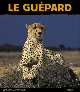 guépard (Le)