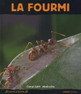 fourmi (La)