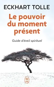 Pouvoir du moment présent (Le)