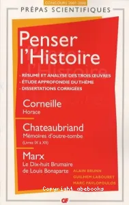 Penser l'histoire