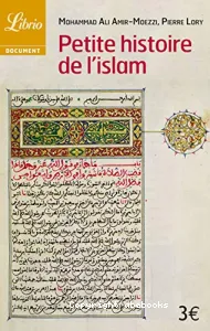 Petite histoire de l'islam