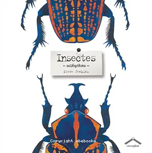 Insectes