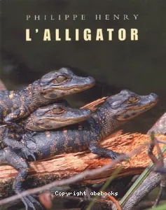 [L']alligator