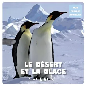 Le désert et la glace