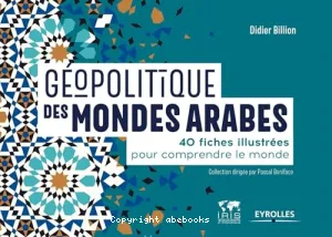 Géopolitique des mondes arabes