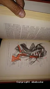 Anatomie humaine