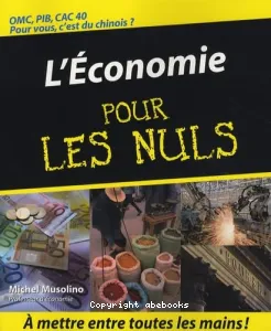 Economie pour les nuls (L')