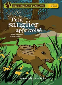 Petit sanglier apprivoisé