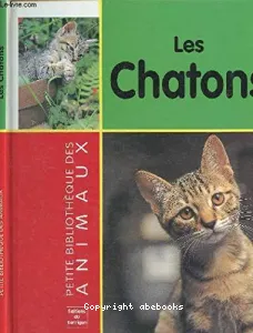 Les chatons