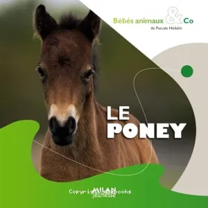 Poney (Le)