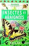 Insectes et araignées