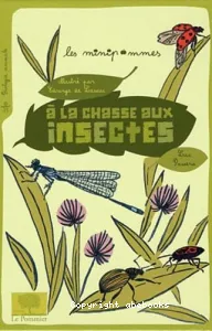 A la chasse aux insectes