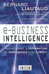 E-business intelligence