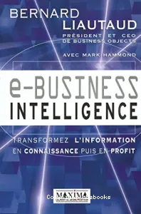 E-business intelligence