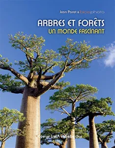 Arbres et forêts