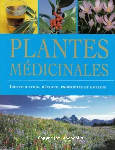 Plantes médicinales