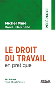 Droit du travail en pratique (Le)