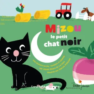 Mizou, le petit chat noir