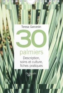 30 palmiers