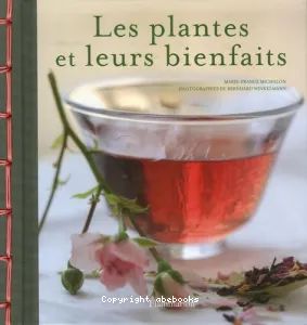 Les plantes et leurs bienfaits