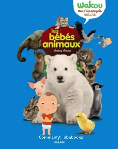 Bébés animaux (Les)