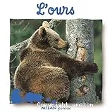 L'ours