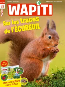 Wapiti, N°391 - octobre 2019 - Sur les traces de écureuil 