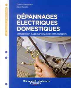 Dépannages électriques domestiques