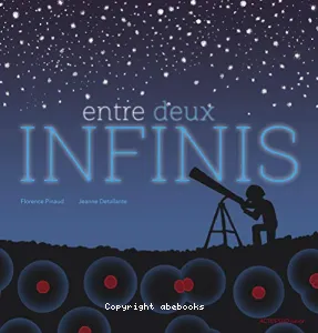 Entre deux infinis