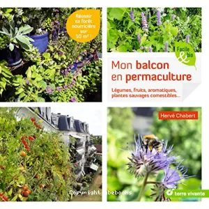 Mon balcon en permaculture