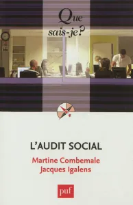 Audit social (L')