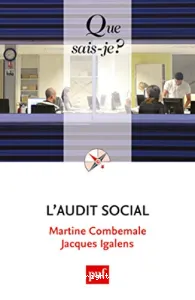 Audit social (L')