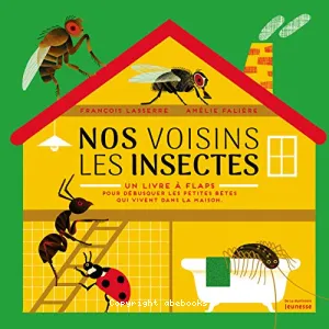 Nos voisins les insectes