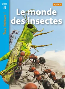 Le monde des insectes, cycle 3