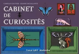 Cabinet de curiosités