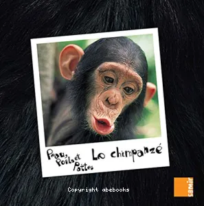 Le chimpanzé